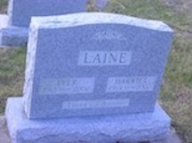Iver
                    Laine