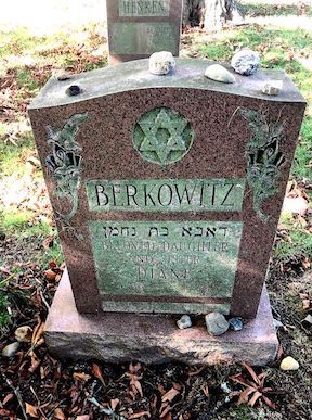 Diane Berkowitz