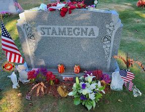 Frank Stamegna